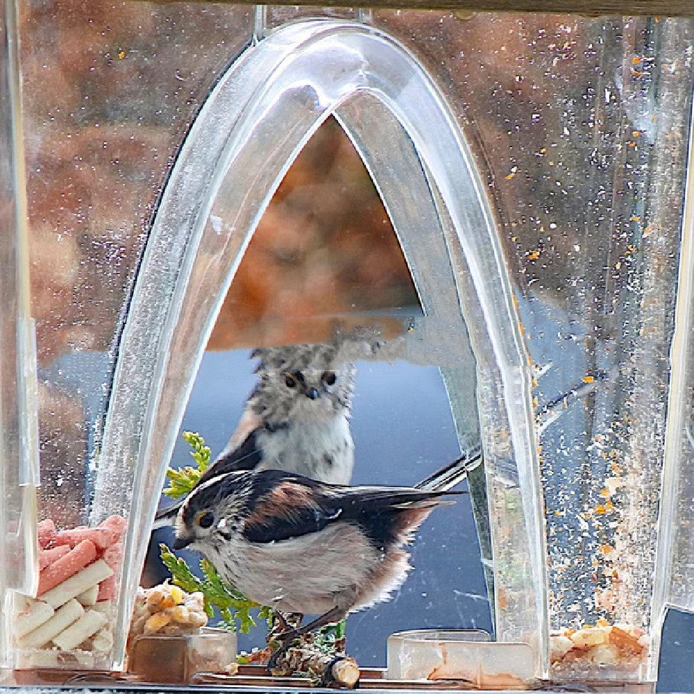 Gardening Arch Bird Feeder